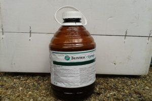 Mga tagubilin para sa paggamit ng herbicide Zelek-Super at mga rate ng pagkonsumo