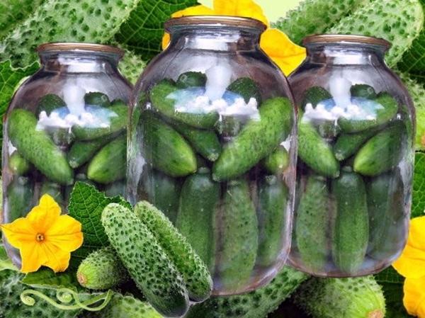 cucumbers with a candle for the winter