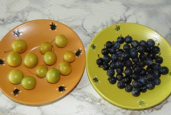 vyšnių slyva ir erškėtis