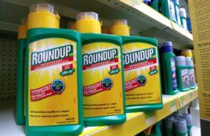 Pokyny pro použití nepřetržitě působícího herbicidu Roundup proti plevelům a jak správně chovat