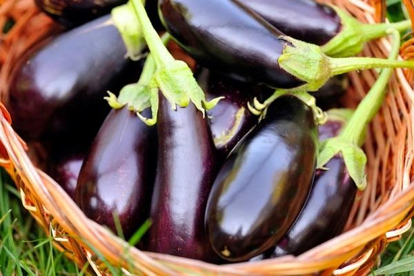 eggplant in a basket