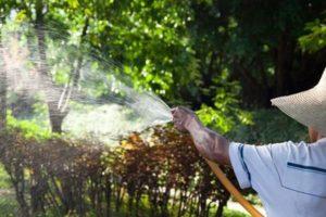 Beskrivning av de 24 bästa fungiciderna för trädgården, verkningsmekanism och bruksanvisning