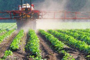 Brugsanvisning og spektrum af virkning af herbicider, sorter og beskrivelse af det bedste