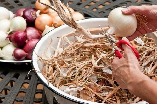 Kışın soğanı evde kurutmanın en iyi 4 yolu