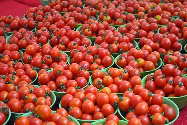 spande med tomater