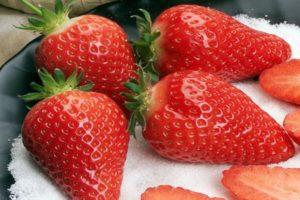 Beskrivning av Gariguetta jordgubbar, regler för plantering och vård