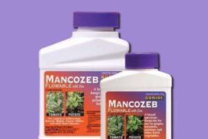 Instruktioner för användning av fungicid Mancozeb, läkemedlets sammansättning och verkan