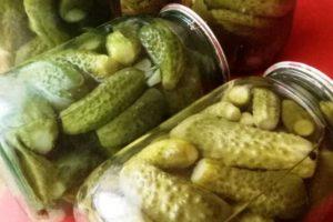 Een stapsgewijs recept voor ingelegde komkommers voor de winter Nostalgie