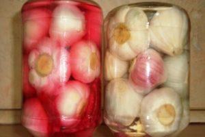 Recipe for step-by-step cooking of pickled garlic in Georgian for the winter