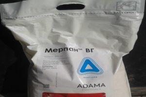 Instructies voor gebruik en werkingsmechanisme van het fungicide Merpan, consumptietarieven
