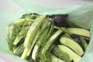 Recept voor het stapsgewijs koken van schudkomkommers