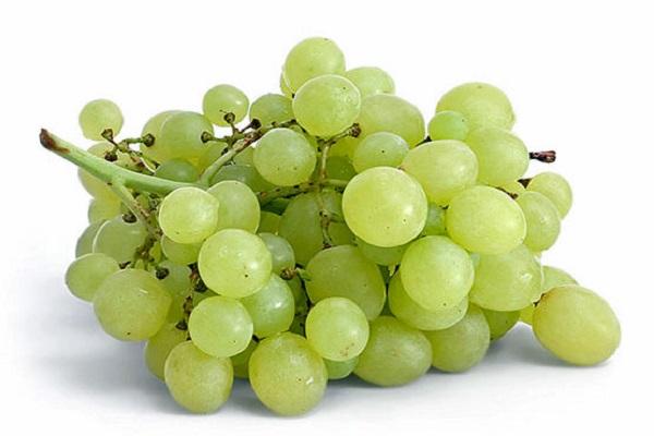 Ayren grapes