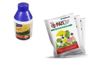 Mga tagubilin para sa paggamit ng herbicide ng patuloy na pagkilos Rap
