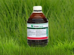 Upute za uporabu herbicida Galera, mehanizam djelovanja i brzine potrošnje