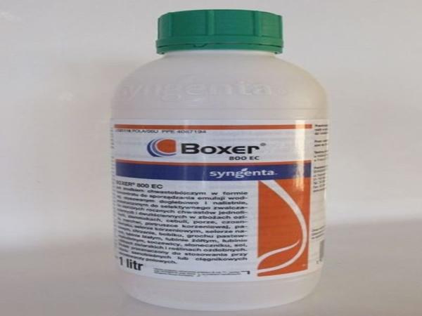 herbicida boxer