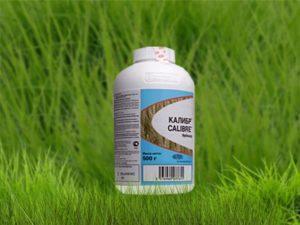 Pokyny pro použití herbicidu Caliber, míry spotřeby a analogů