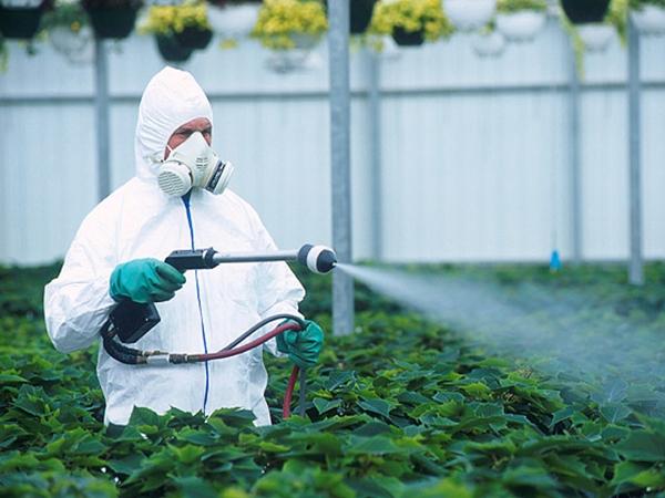 herbicida cordus plus