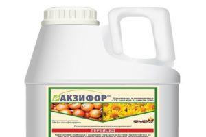 Instructions for use and mechanism of action of the herbicide Aksifor