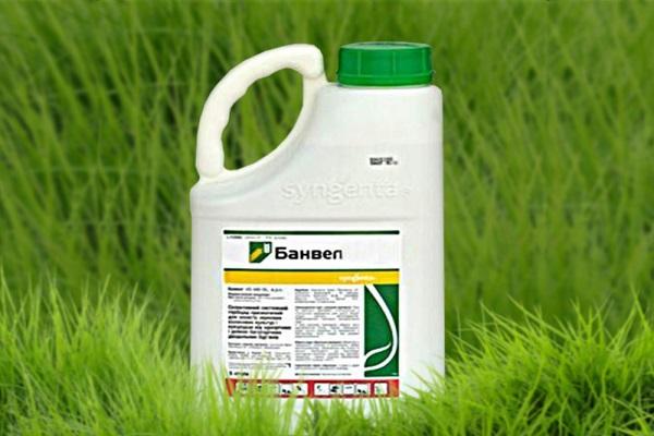 herbicíd Banvel