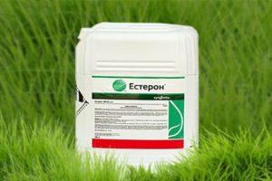 Instructions for the use of the herbicide Esteron, mechanism of action and consumption rates