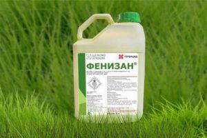 Pokyny k použití herbicidu Fenisan, mechanismu účinku a míry spotřeby