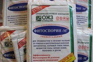 Instruccions d’ús del fungicida Fitosporina, taxes de consum i anàlegs
