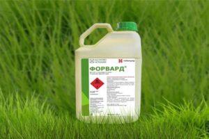 Pokyny k použití a mechanismu účinku herbicidu Forward