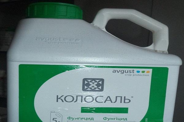fungicid Kolosal