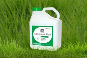 Instructions for use of the fungicide Kolosal, consumption rates and analogues