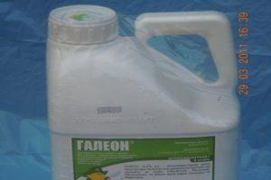 Upute za uporabu herbicida Galleon, mehanizam djelovanja i brzine potrošnje