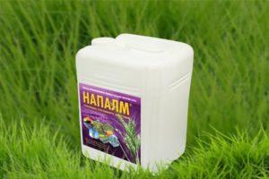 Herbicido Napalm naudojimo instrukcijos, saugos priemonės ir analogai