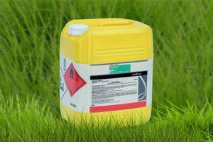 Instructions for use and the principle of operation of the Treflan herbicide, consumption rates