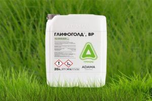 Instructions for the use of the herbicide Glifogold, mechanism of action and consumption rates