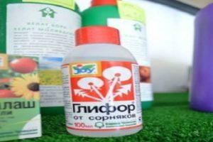 Instructions pour l'utilisation de Glyphor contre les mauvaises herbes, description de l'herbicide et taux de consommation