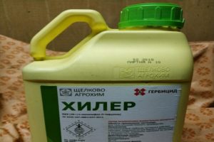 Dziednieka herbicīda lietošanas instrukcijas un darbības mehānisms, patēriņa rādītāji