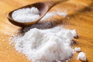 Je li moguće i kako pravilno dati sol pilićima, kada je to nemoguće dodati u prehranu