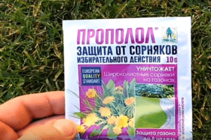 Instructies voor gebruik tegen onkruid van herbicide Propolol