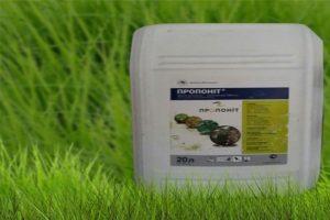 Mga tagubilin para sa paggamit ng herbicide Proponite, prinsipyo ng mga rate ng operasyon at pagkonsumo