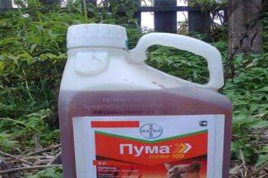 Instruccions d’ús de l’herbicida Puma Super 100 i taxes de consum de la droga