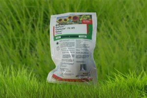 Instruktioner för användning och verkningsmekanism för herbicidet Salsa