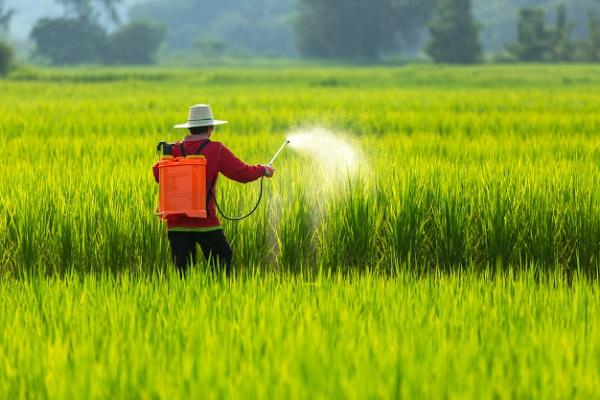 Instruktioner för användning av Targa Super herbicid, konsumtionshastigheter och analoger
