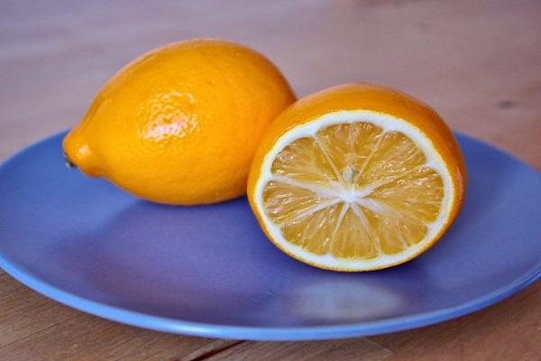 supjaustyti citrusai