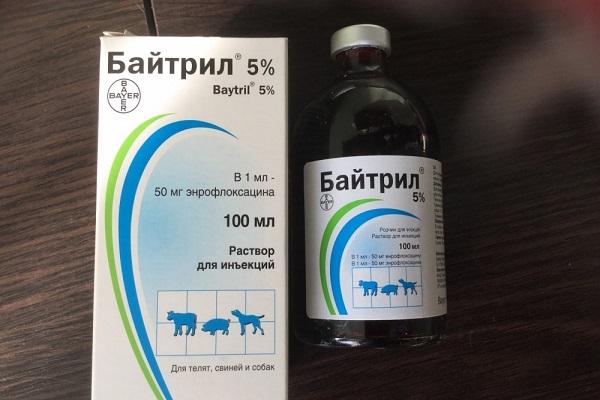 antibiotic baytril