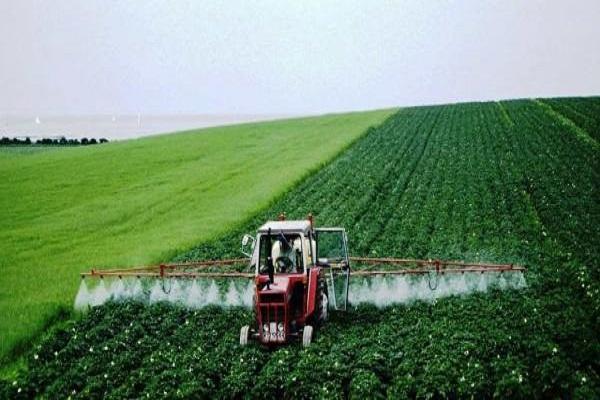 herbicidní účinek