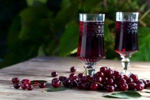TOP 9 paprasti naminio vyšnių vyno gaminimo receptai