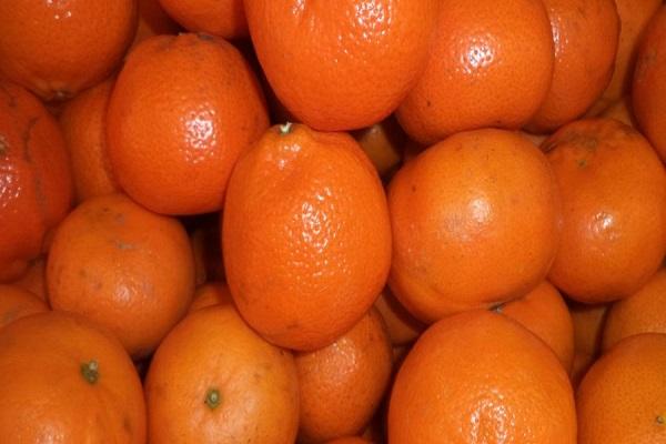 muchas naranjas