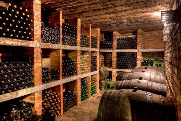 wine in the cellar