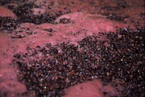 5 populiariausi būdai sustabdyti vyno fermentaciją namuose