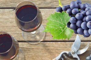 6 recetas paso a paso sobre cómo hacer vino con uvas Isabella en casa