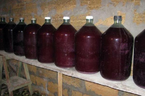 flasks in the cellar